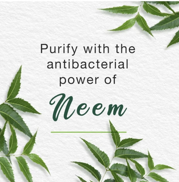 Himalaya
Purifying Neem Foaming Face Wash 150ml